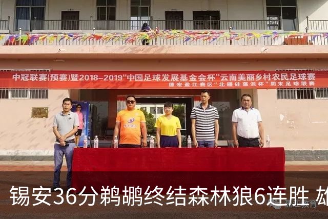 锡安36分鹈鹕终结森林狼6连胜 雄鹿险胜公牛